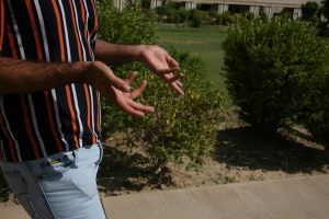 Gay men face divergent fortunes in Iraq, but freedom is a relative term and an anonymous blessing. | MICHAEL T. LUONGO