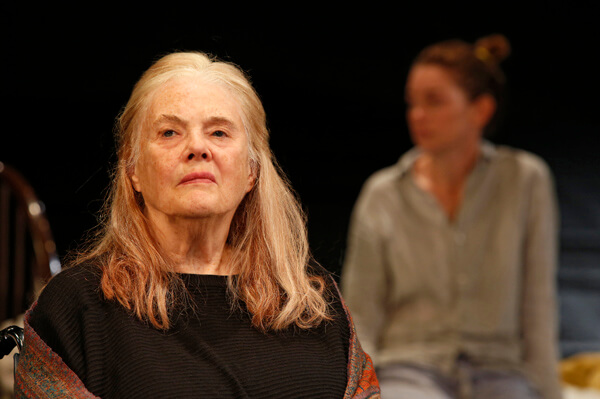 HeartlessThe Pershing Square Signature Center/Irene Diamond Stage