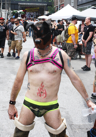 Folsom Woof01 IS